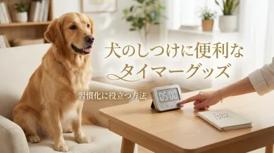 犬のしつけに便利なタイマーグッズ｜習慣化に役立つ方法