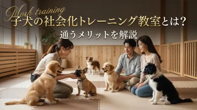 子犬の社会化トレーニング教室とは？通うメリットを解説