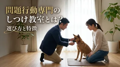 問題行動専門のしつけ教室とは？選び方と特徴