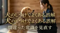 犬のしつけでよくある誤解｜間違った常識を見直す