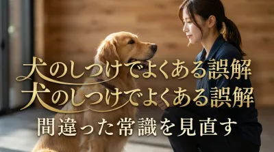 犬のしつけでよくある誤解｜間違った常識を見直す