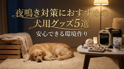 夜鳴き対策におすすめの犬用グッズ5選｜安心できる環境作り