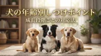 犬の年齢別しつけポイント｜成長段階ごとの対応法