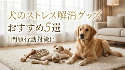 犬のストレス解消グッズおすすめ5選｜問題行動対策に