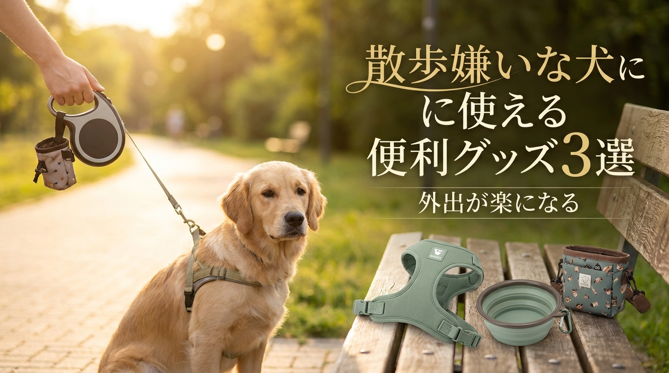 散歩嫌いな犬に使える便利グッズ3選|外出が楽になる