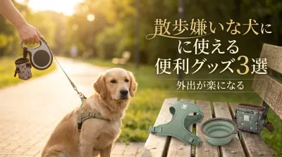散歩嫌いな犬に使える便利グッズ3選｜外出が楽になる