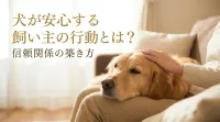 犬が安心する飼い主の行動とは？信頼関係の築き方