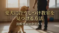 愛犬に合うしつけ教室を見つける方法｜比較チェックリスト