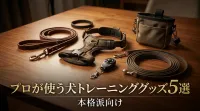 プロが使う犬トレーニンググッズ5選｜本格派向け