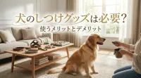 犬のしつけグッズは必要？使うメリットとデメリット