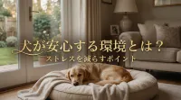 犬が安心する環境とは？ストレスを減らすポイント
