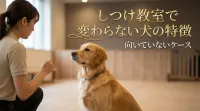 しつけ教室で変わらない犬の特徴｜向いていないケース