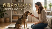 保護犬のしつけ方｜信頼関係を築くための基本ステップ