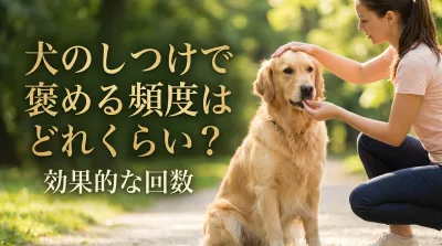 犬のしつけで褒める頻度はどれくらい？効果的な回数