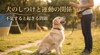 犬のしつけと運動の関係｜不足すると起きる問題