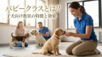 パピークラスとは？子犬向け教室の特徴と効果