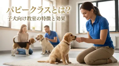 パピークラスとは？子犬向け教室の特徴と効果