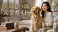 犬のしつけ完全ガイド｜初心者でも失敗しない基本とコツ