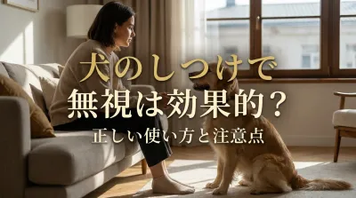 犬のしつけで無視は効果的？正しい使い方と注意点