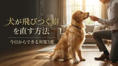 犬が飛びつく癖を直す方法｜今日からできる対策3選