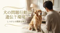 犬の問題行動は遺伝？環境？しつけとの関係を解説