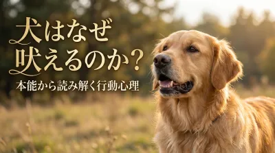 犬はなぜ吠えるのか？本能から読み解く行動心理