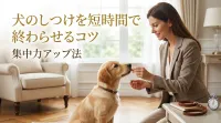犬のしつけを短時間で終わらせるコツ｜集中力アップ法