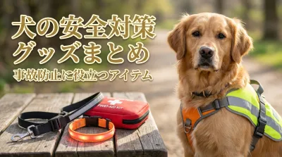 犬の安全対策グッズまとめ｜事故防止に役立つアイテム