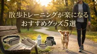 散歩トレーニングが楽になるおすすめグッズ5選