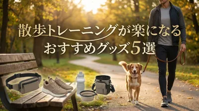 散歩トレーニングが楽になるおすすめグッズ5選