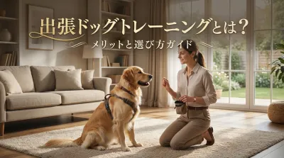 出張ドッグトレーニングとは？メリットと選び方ガイド