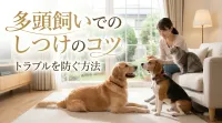 多頭飼いでのしつけのコツ｜トラブルを防ぐ方法とは
