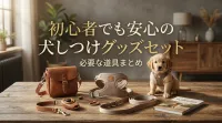 初心者でも安心の犬しつけグッズセット｜必要な道具まとめ