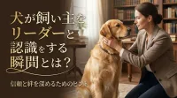 犬が飼い主をリーダーと認識する瞬間とは？