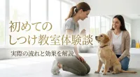 初めてのしつけ教室体験談｜実際の流れと効果を解説