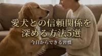 愛犬との信頼関係を深める方法5選｜今日からできる習慣
