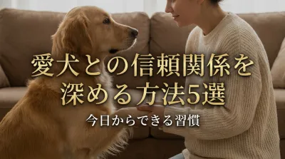 愛犬との信頼関係を深める方法5選｜今日からできる習慣