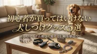 初心者が買ってはいけない犬しつけグッズ5選