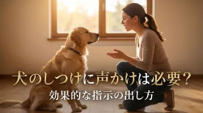 犬のしつけに声かけは必要？効果的な指示の出し方