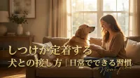 しつけが定着する犬との接し方｜日常でできる習慣