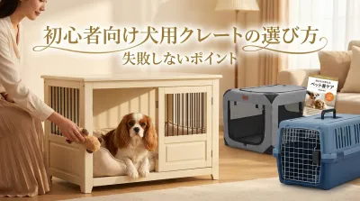 初心者向け犬用クレートの選び方｜失敗しないポイント