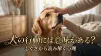 犬の行動には意味がある？しぐさから読み解く心理