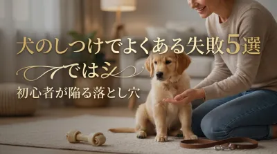 犬のしつけでよくある失敗5選｜初心者が陥る落とし穴