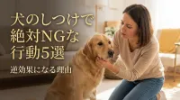 犬のしつけで絶対NGな行動5選｜逆効果になる理由とは