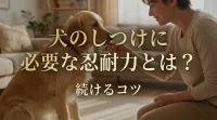 犬のしつけに必要な忍耐力とは？続けるコツ