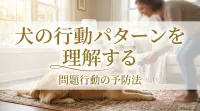 犬の行動パターンを理解する｜問題行動の予防法
