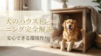 犬のハウストレーニング完全解説｜安心できる環境作り