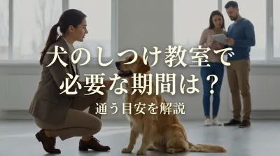 犬のしつけ教室で必要な期間は？通う目安を解説
