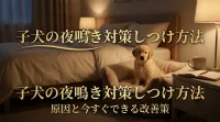 子犬の夜鳴き対策しつけ方法｜原因と今すぐできる改善策