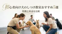 初心者向け犬のしつけ教室おすすめ5選｜特徴と料金を比較